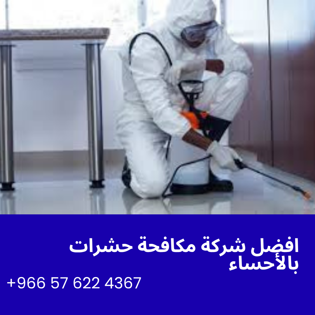 افضل شركة مكافحة حشرات بالأحساء