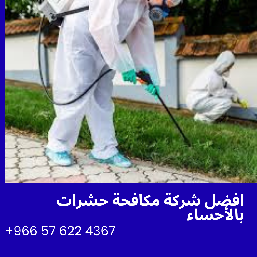 افضل شركة مكافحة حشرات بالأحساء